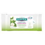 Sanytol - Moisturizing Disinfectant Wipes for Hands - Bactericidal, Virucidal, Fungicidal - No Rinsing - Green Tea Scent - Convenient Compact Size