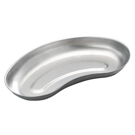 Teqler 426100 Stainless Steel Bowl, 25 cm x 3.8 cm