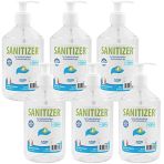 SANITIZER - Gel Hydroalcoolique Premium - Formule 70% - Lot de 6 Flacons de 500ml et 3 Pompes