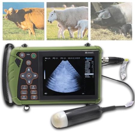 Sunmme Portable Veterinary Ultrasound, Pregnancy Tester